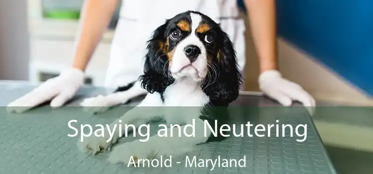 Spaying and Neutering Arnold - Maryland