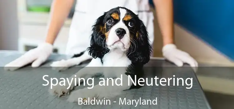 Spaying and Neutering Baldwin - Maryland