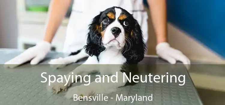 Spaying and Neutering Bensville - Maryland