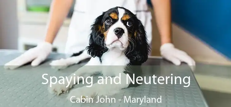 Spaying and Neutering Cabin John - Maryland