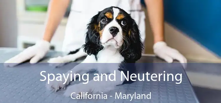 Spaying and Neutering California - Maryland