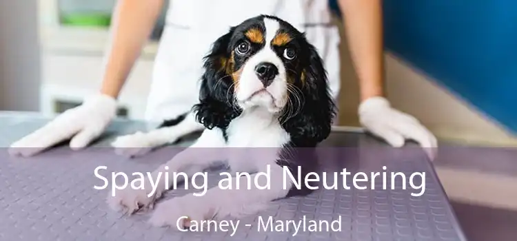 Spaying and Neutering Carney - Maryland