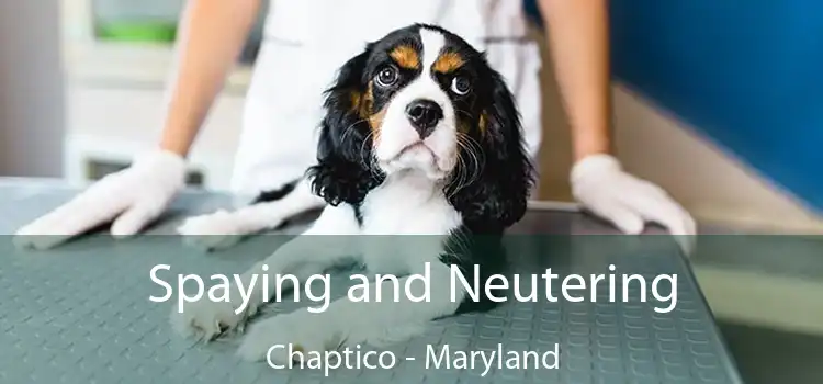 Spaying and Neutering Chaptico - Maryland