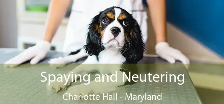 Spaying and Neutering Charlotte Hall - Maryland