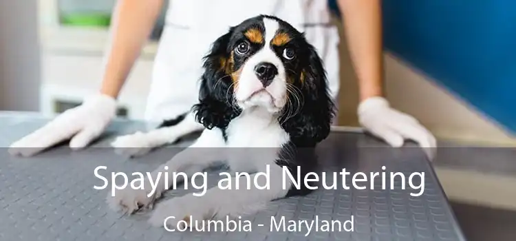 Spaying and Neutering Columbia - Maryland