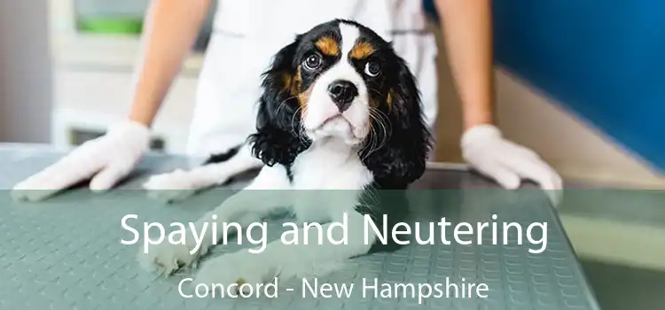 Spaying and Neutering Concord - New Hampshire