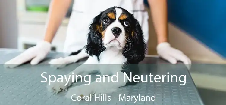 Spaying and Neutering Coral Hills - Maryland