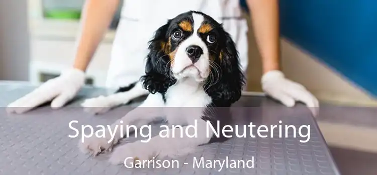 Spaying and Neutering Garrison - Maryland