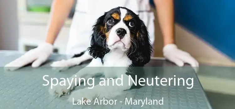 Spaying and Neutering Lake Arbor - Maryland