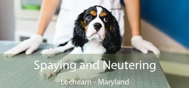 Spaying and Neutering Lochearn - Maryland