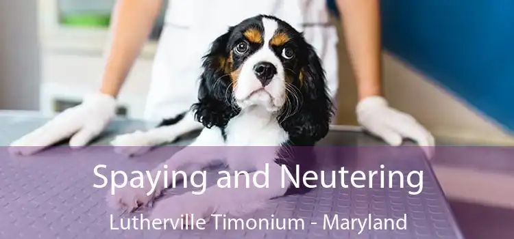 Spaying and Neutering Lutherville Timonium - Maryland