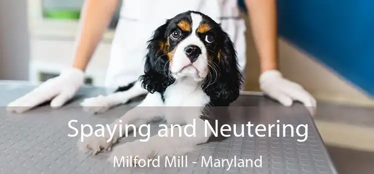 Spaying and Neutering Milford Mill - Maryland