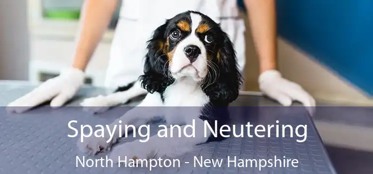 Spaying and Neutering North Hampton - New Hampshire