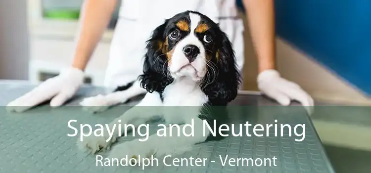 Spaying and Neutering Randolph Center - Vermont