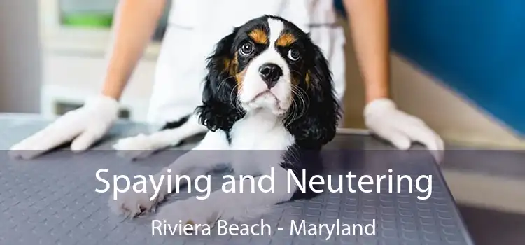 Spaying and Neutering Riviera Beach - Maryland