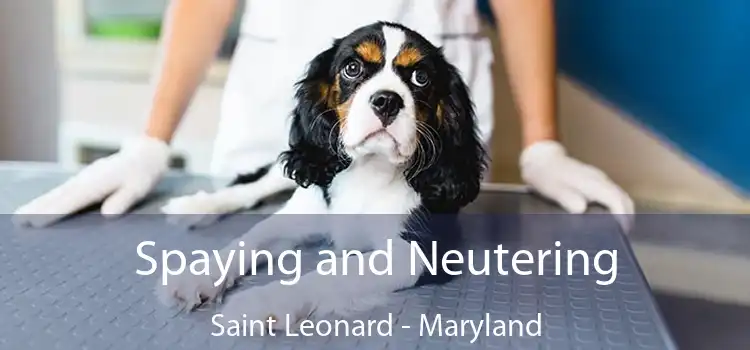 Spaying and Neutering Saint Leonard - Maryland