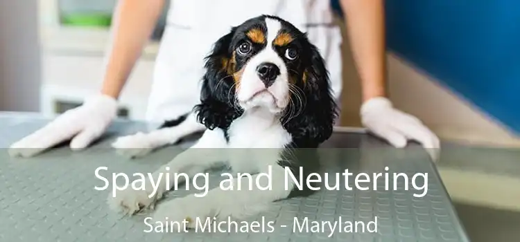 Spaying and Neutering Saint Michaels - Maryland