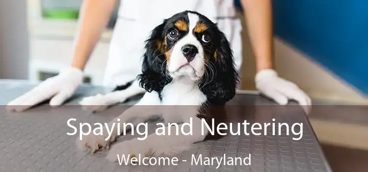 Spaying and Neutering Welcome - Maryland