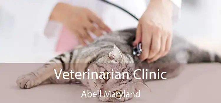 Veterinarian Clinic Abell Maryland