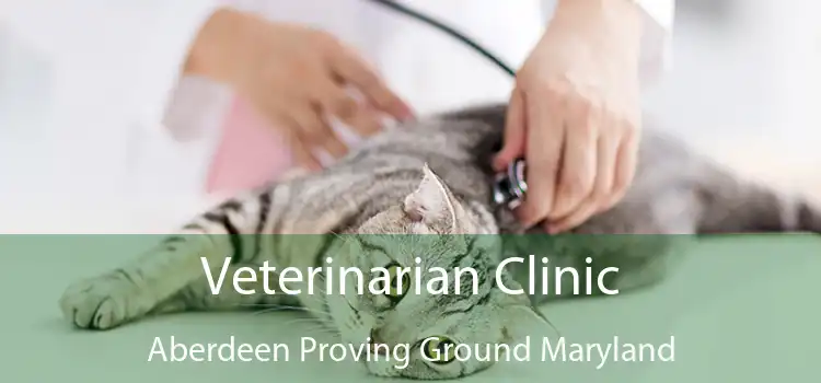 Veterinarian Clinic Aberdeen Proving Ground Maryland