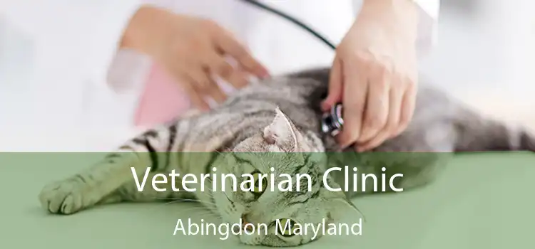 Veterinarian Clinic Abingdon Maryland