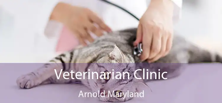 Veterinarian Clinic Arnold Maryland