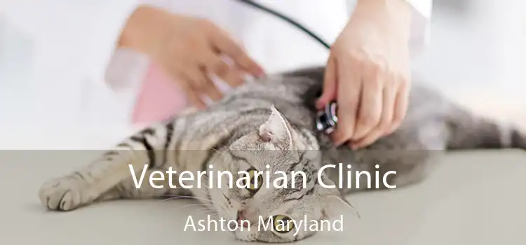 Veterinarian Clinic Ashton Maryland