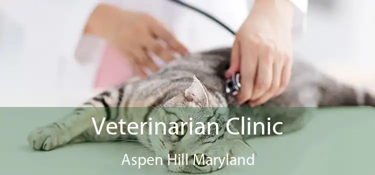 Veterinarian Clinic Aspen Hill Maryland