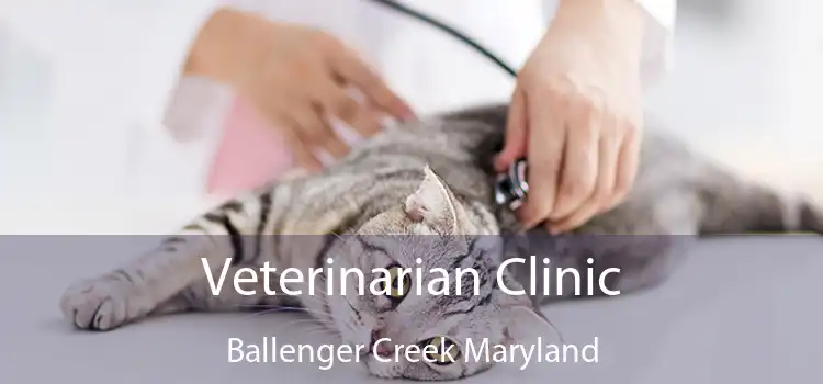 Veterinarian Clinic Ballenger Creek Maryland