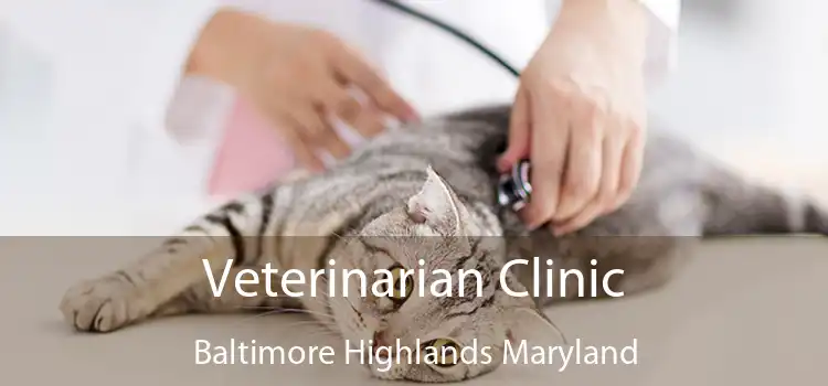 Veterinarian Clinic Baltimore Highlands Maryland