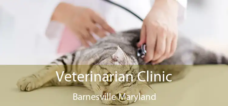 Veterinarian Clinic Barnesville Maryland