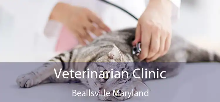 Veterinarian Clinic Beallsville Maryland