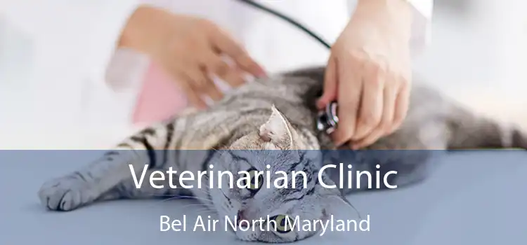 Veterinarian Clinic Bel Air North Maryland