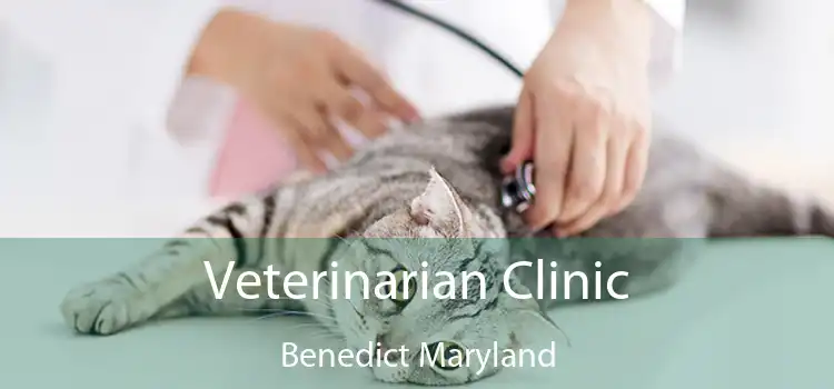 Veterinarian Clinic Benedict Maryland