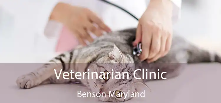 Veterinarian Clinic Benson Maryland