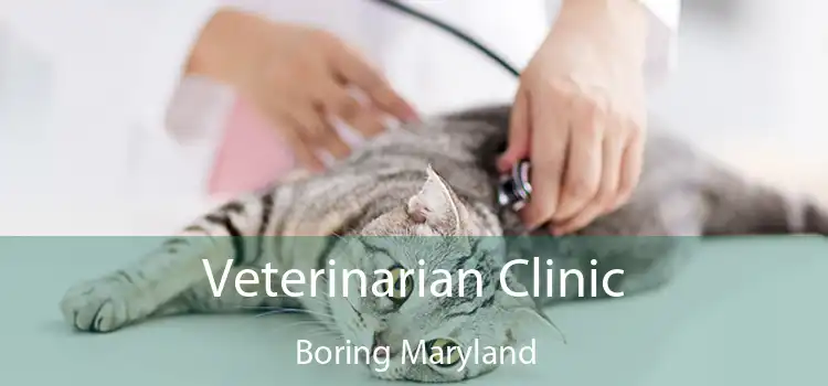 Veterinarian Clinic Boring Maryland