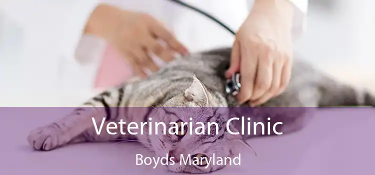 Veterinarian Clinic Boyds Maryland