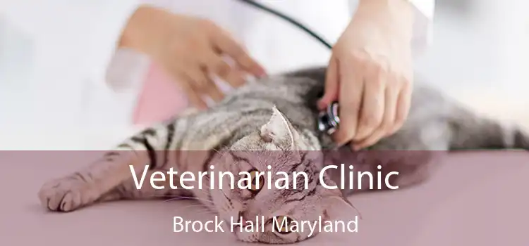 Veterinarian Clinic Brock Hall Maryland