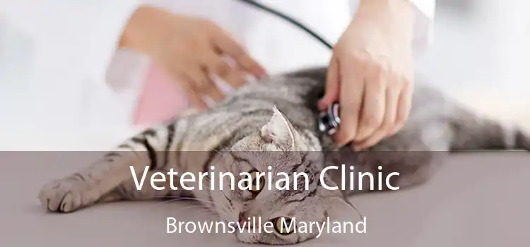 Veterinarian Clinic Brownsville Maryland