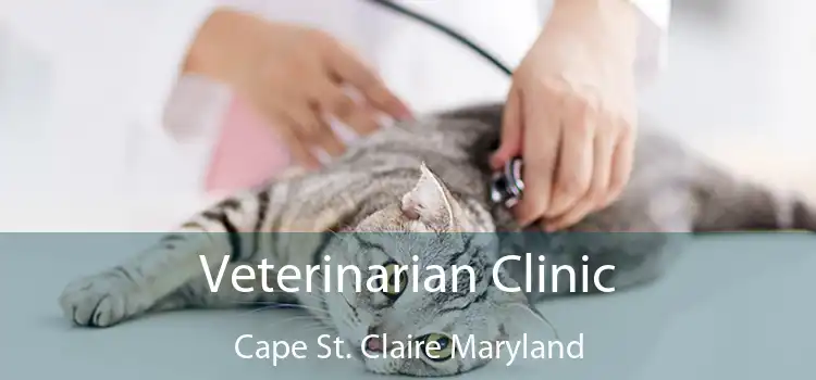 Veterinarian Clinic Cape St. Claire Maryland