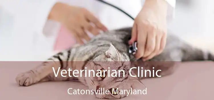 Veterinarian Clinic Catonsville Maryland