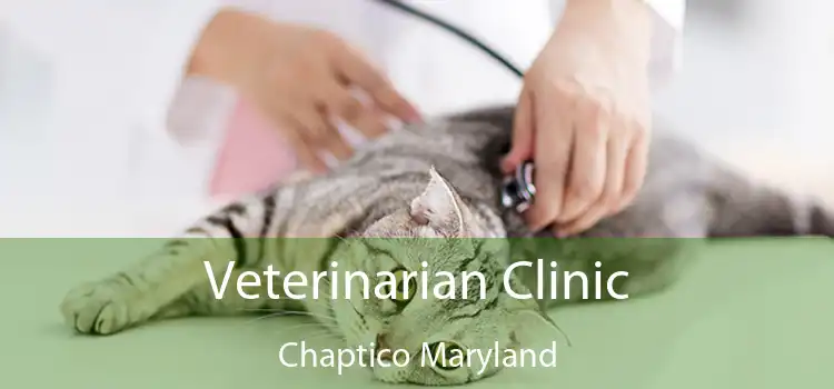 Veterinarian Clinic Chaptico Maryland