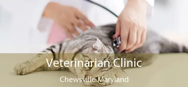 Veterinarian Clinic Chewsville Maryland