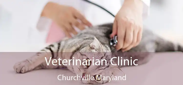 Veterinarian Clinic Churchville Maryland