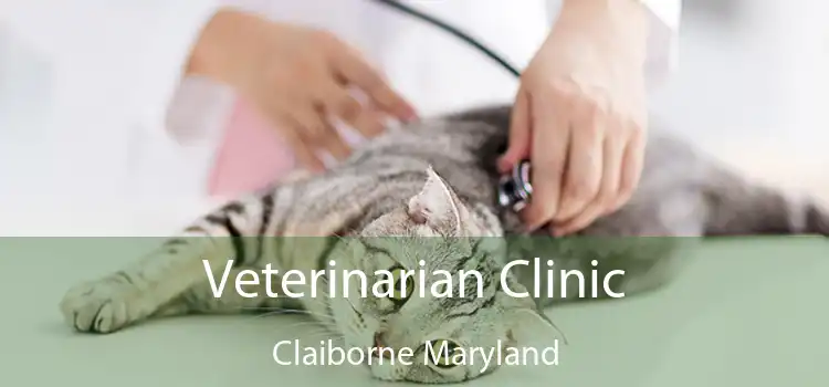 Veterinarian Clinic Claiborne Maryland