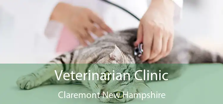 Veterinarian Clinic Claremont New Hampshire