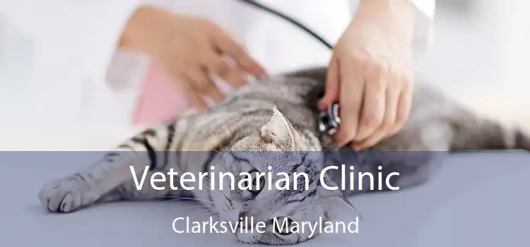 Veterinarian Clinic Clarksville Maryland