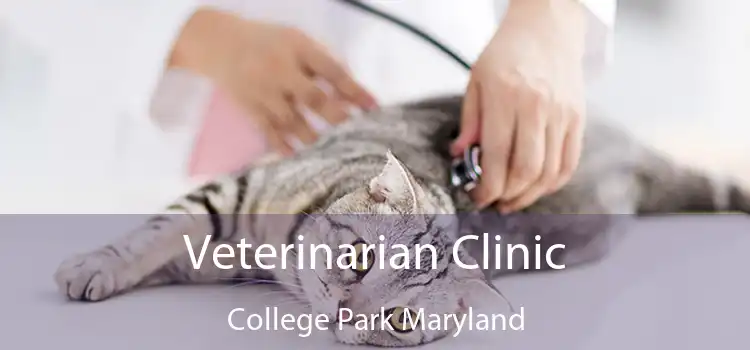 Veterinarian Clinic College Park Maryland