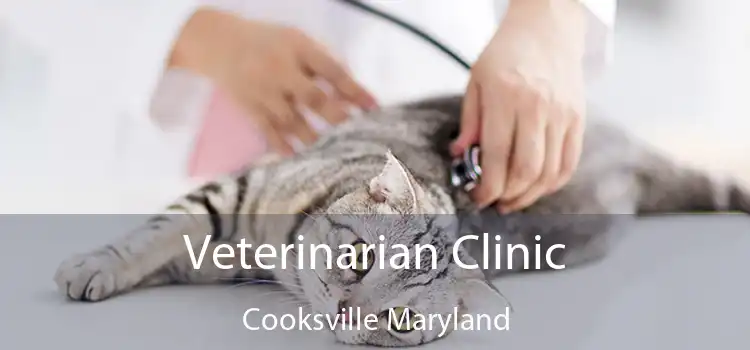 Veterinarian Clinic Cooksville Maryland