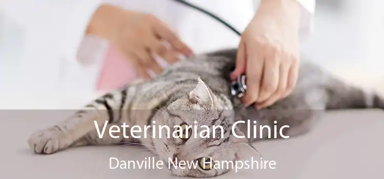 Veterinarian Clinic Danville New Hampshire